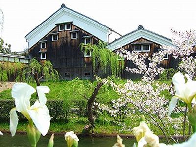 kyoto1.jpg